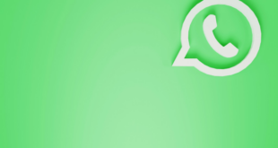 What is WhatsApp Business API A Beginner's Guide to Streamlining Customer Communication